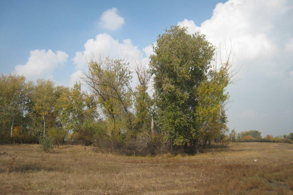 Болотене з panoramio.com - Болотене