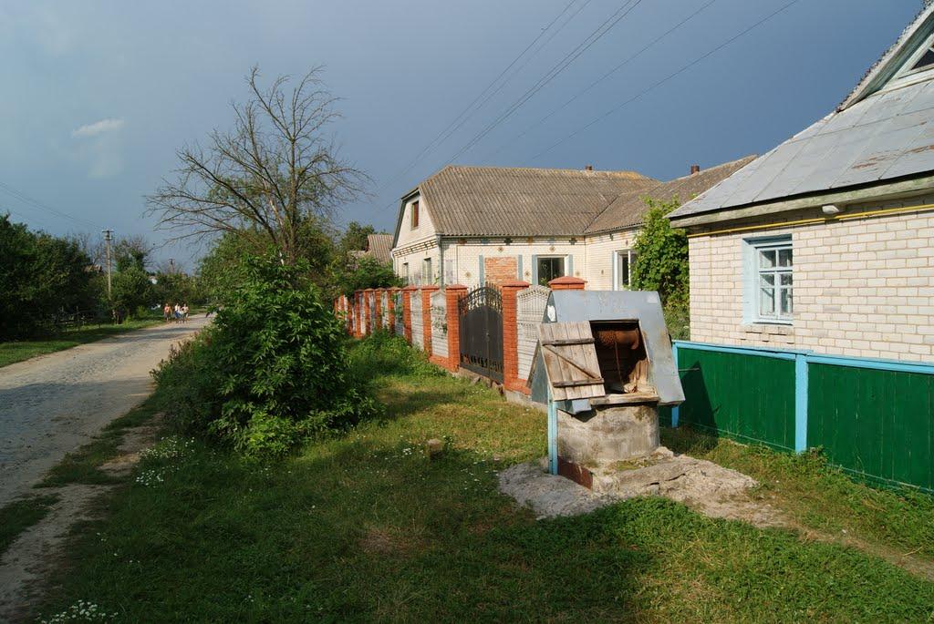 Ставниця з panoramio.com - Ставниця