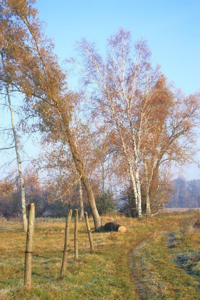 Бурімка з panoramio.com - Бурімка