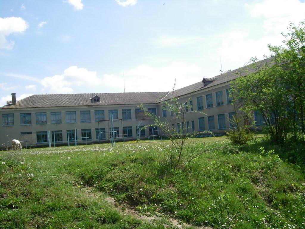 Матвіївці з panoramio.com - Матвеевцы