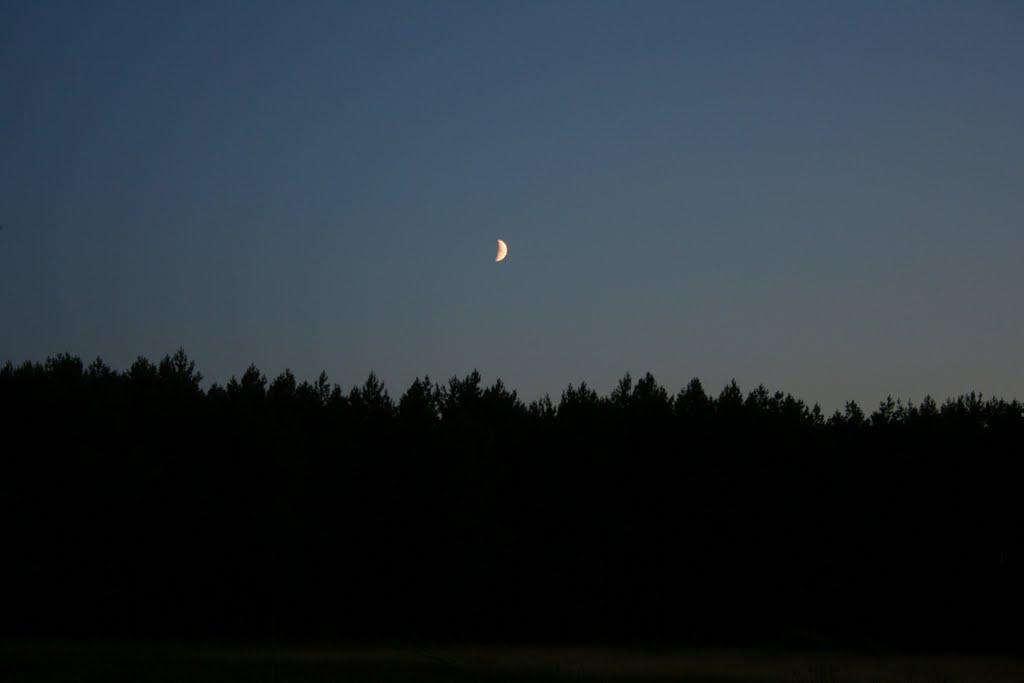 Люб'язь з panoramio.com - Люб'язь