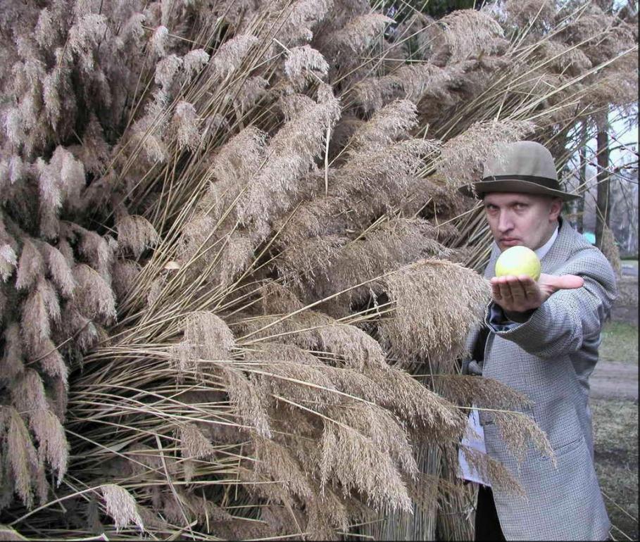 Дем'янці з panoramio.com - Дем'янці