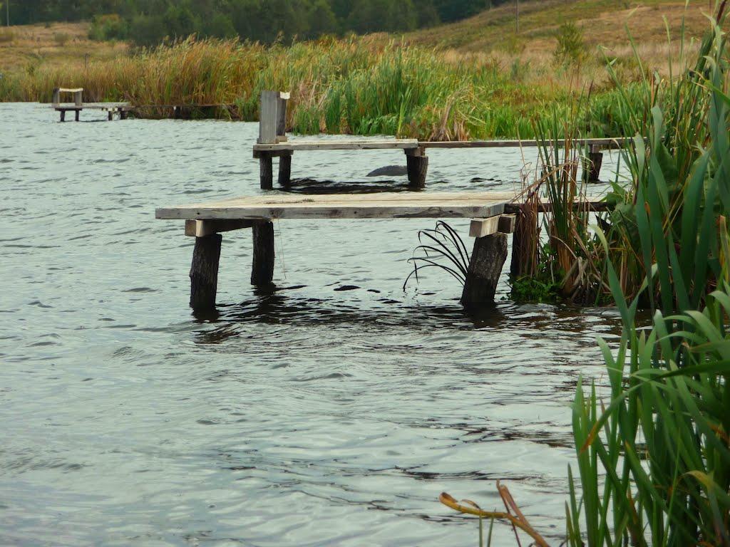 Мшана з panoramio.com - Мшана