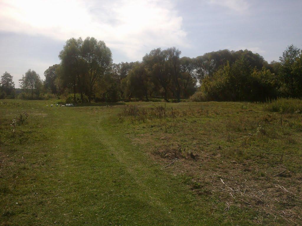 В'язенка з panoramio.com - Вязенка