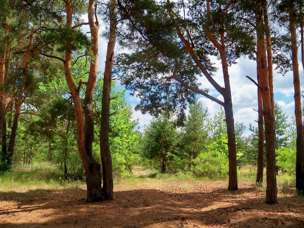 Могилів з panoramio.com - Могилев