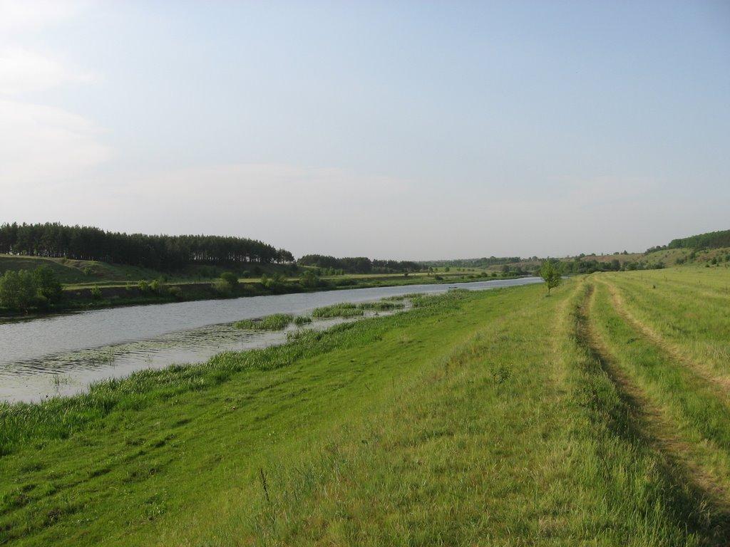 Вигнанка з panoramio.com - Выгнанка