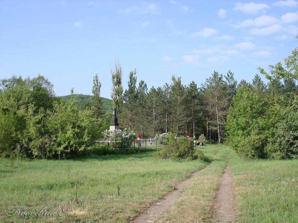 Партизанське з panoramio.com - Партизанське