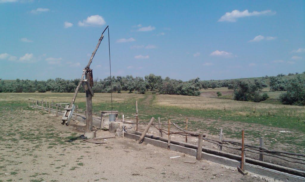 Кубанка з panoramio.com - Кубанка