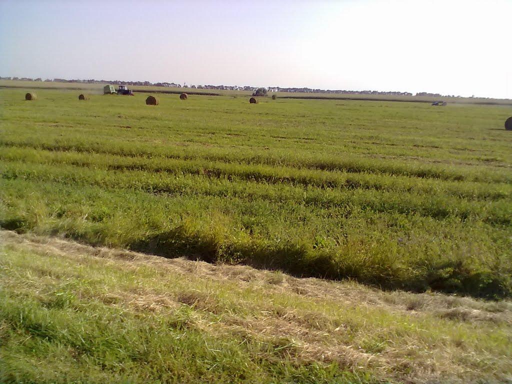 Великі Сорочинці з panoramio.com - Великие Сорочинцы