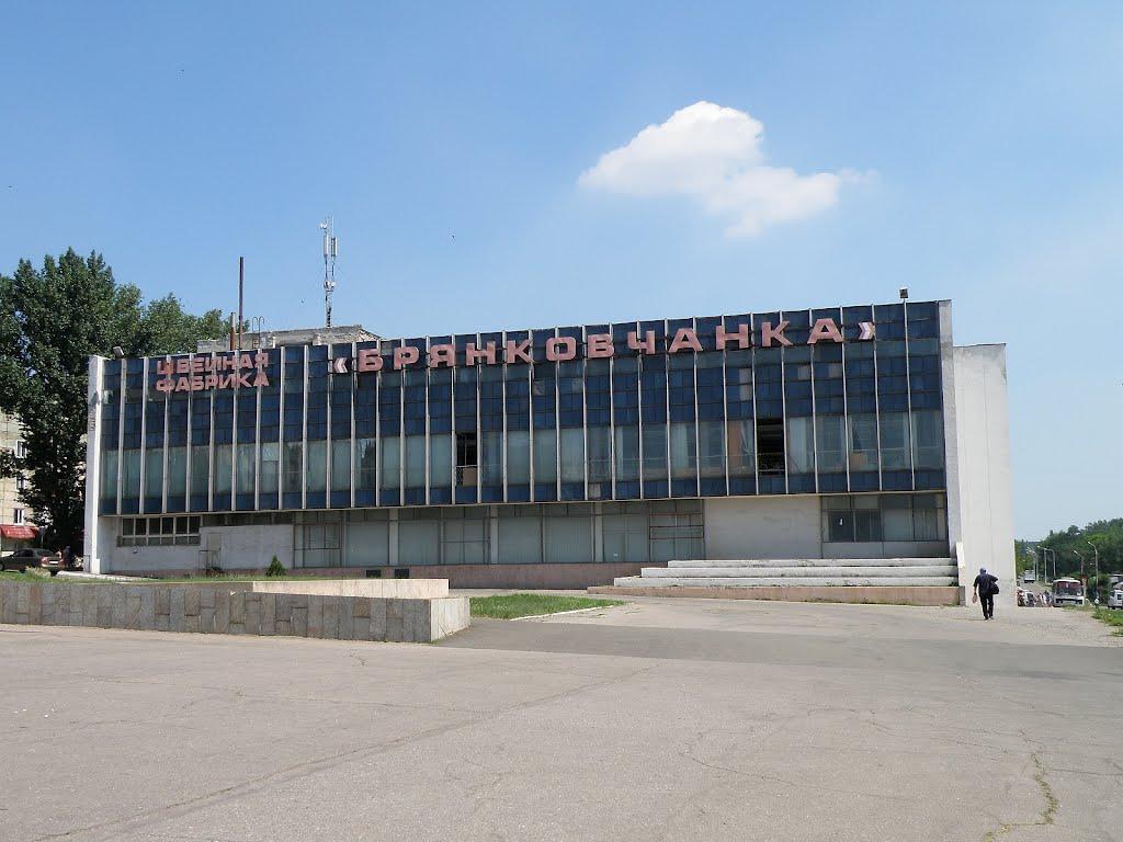 Брянка з panoramio.com (ч.2) - Брянка