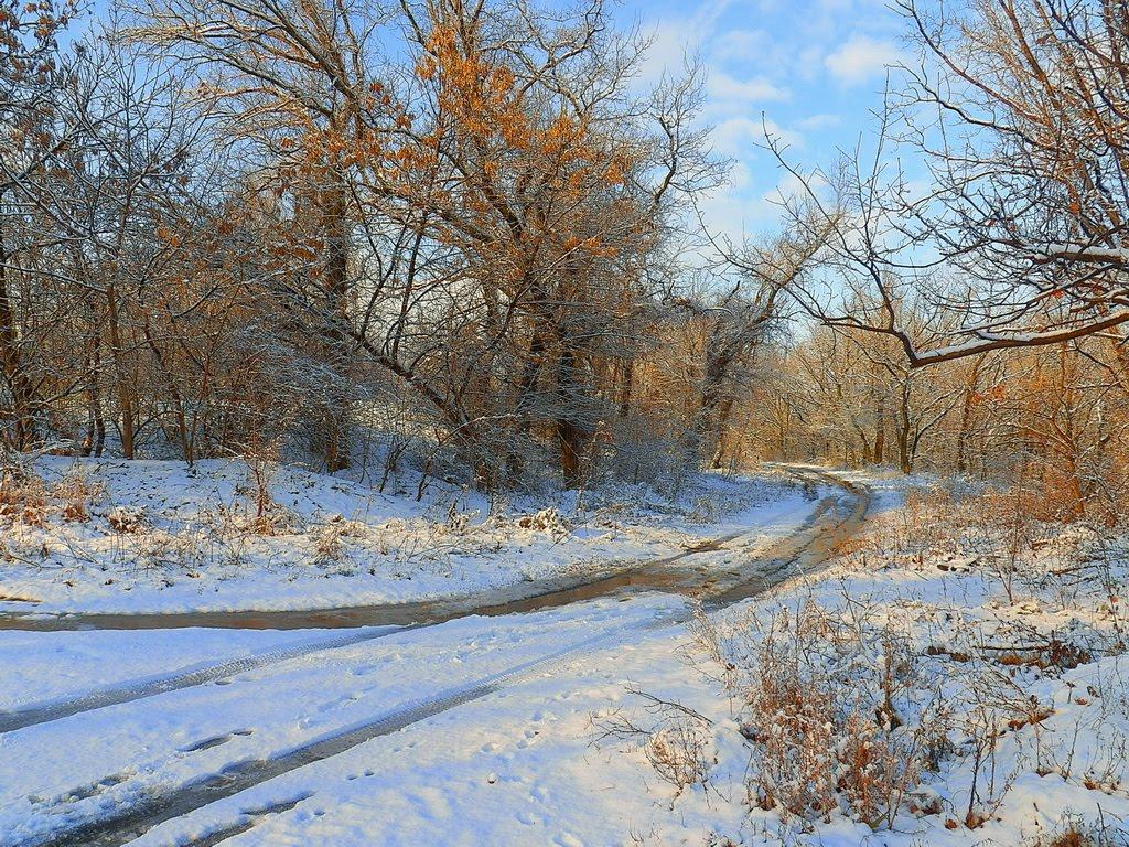 Рубці з panoramio.com - Рубцы