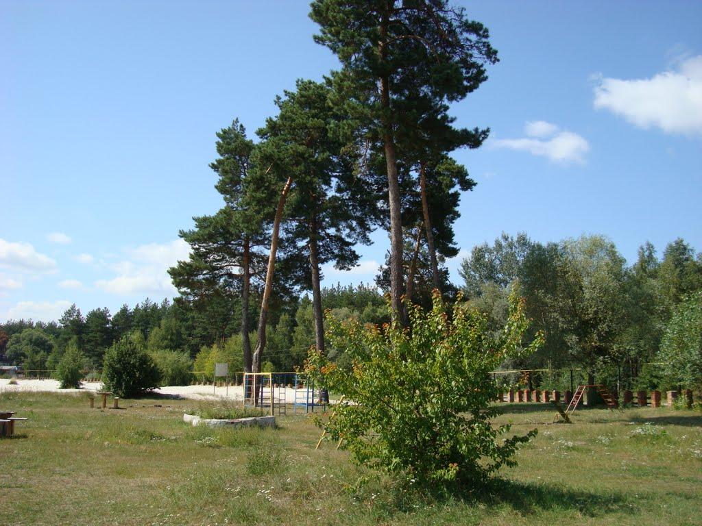 Лебедин з panoramio.com - Лебедин