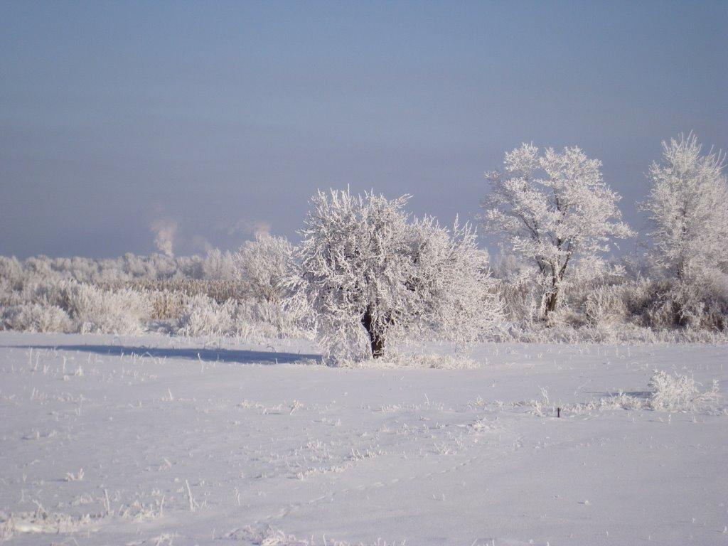 Успенка з panoramio.com - Успенка
