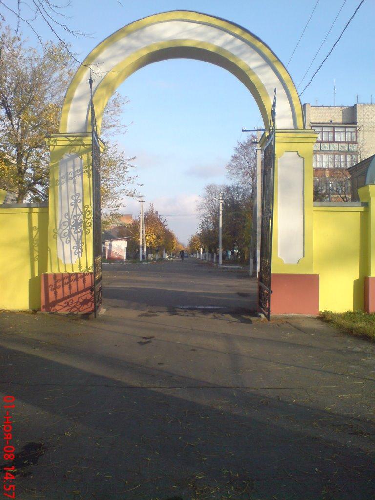 Солгутове з panoramio.com - Солгутове