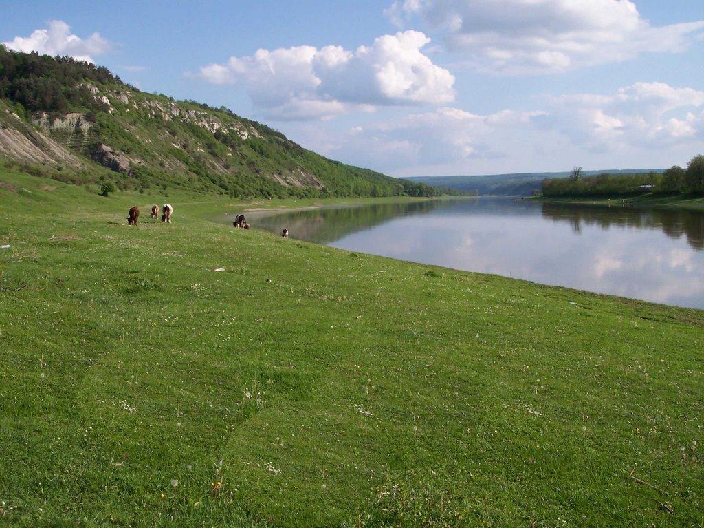 Мельниця-Подільська з panoramio.com - Мельниця-Подільська