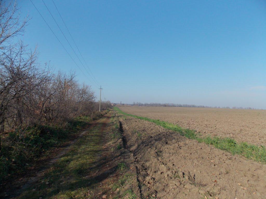 Карабелівка з panoramio.com - Карабелівка