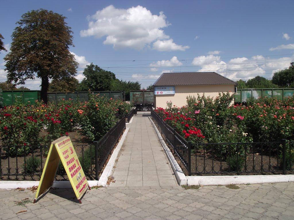 Волноваха з panoramio.com - Волноваха