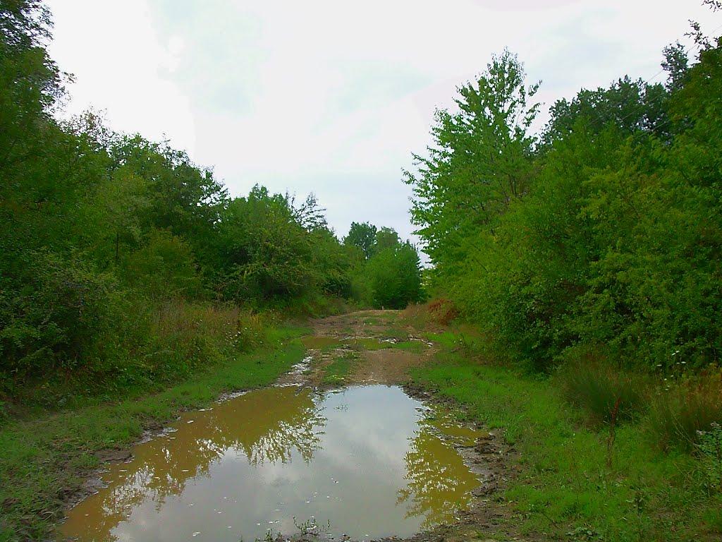 Щасливе з panoramio.com - Счастливое