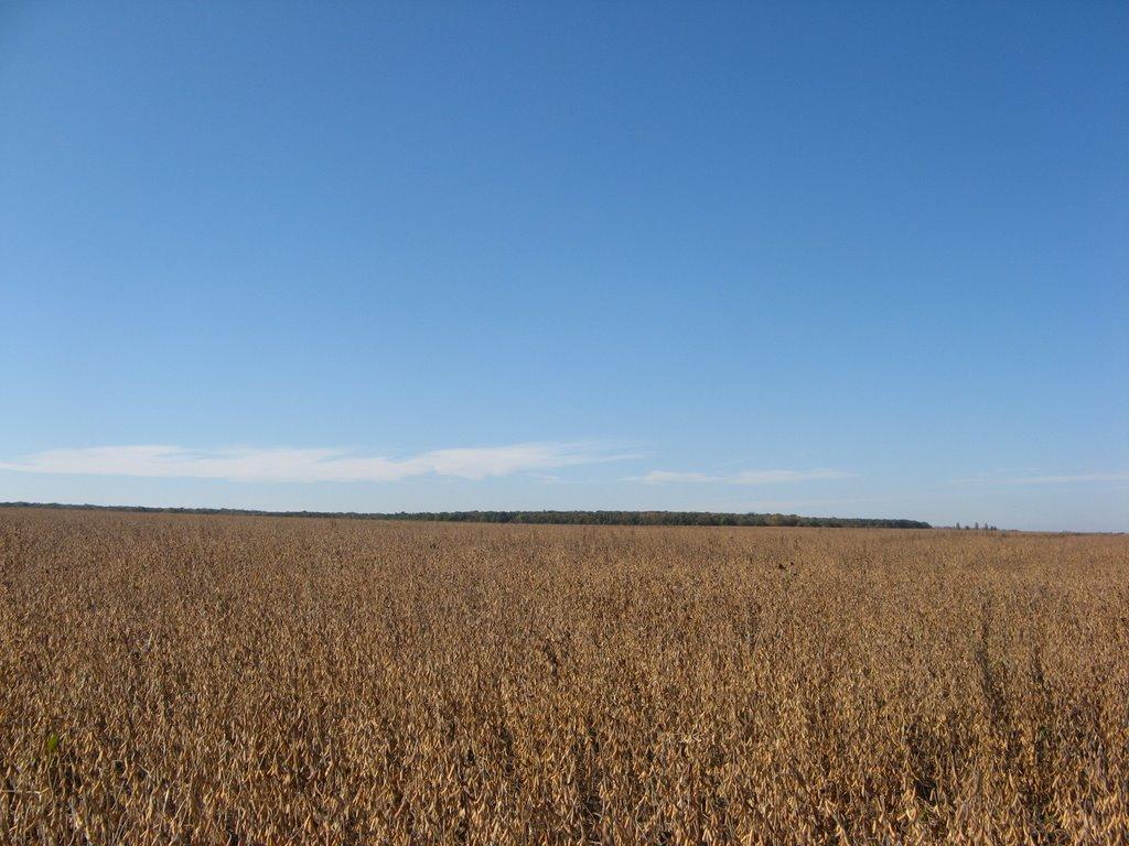 Сербичани з panoramio.com - Сербичаны