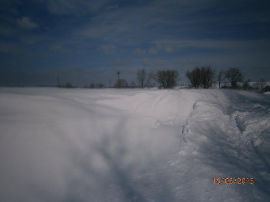 Берездівці з panoramio.com - Берездівці