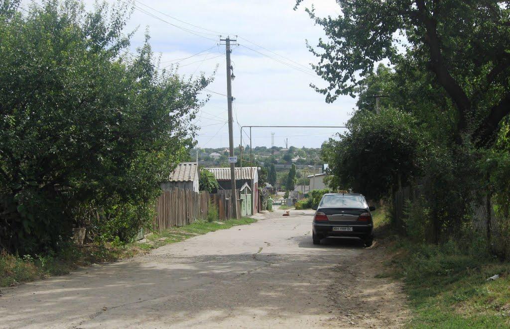 Олександрівка з panoramio.com - Олександрівка