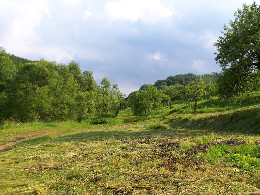 Буштино з panoramio.com - Буштыно