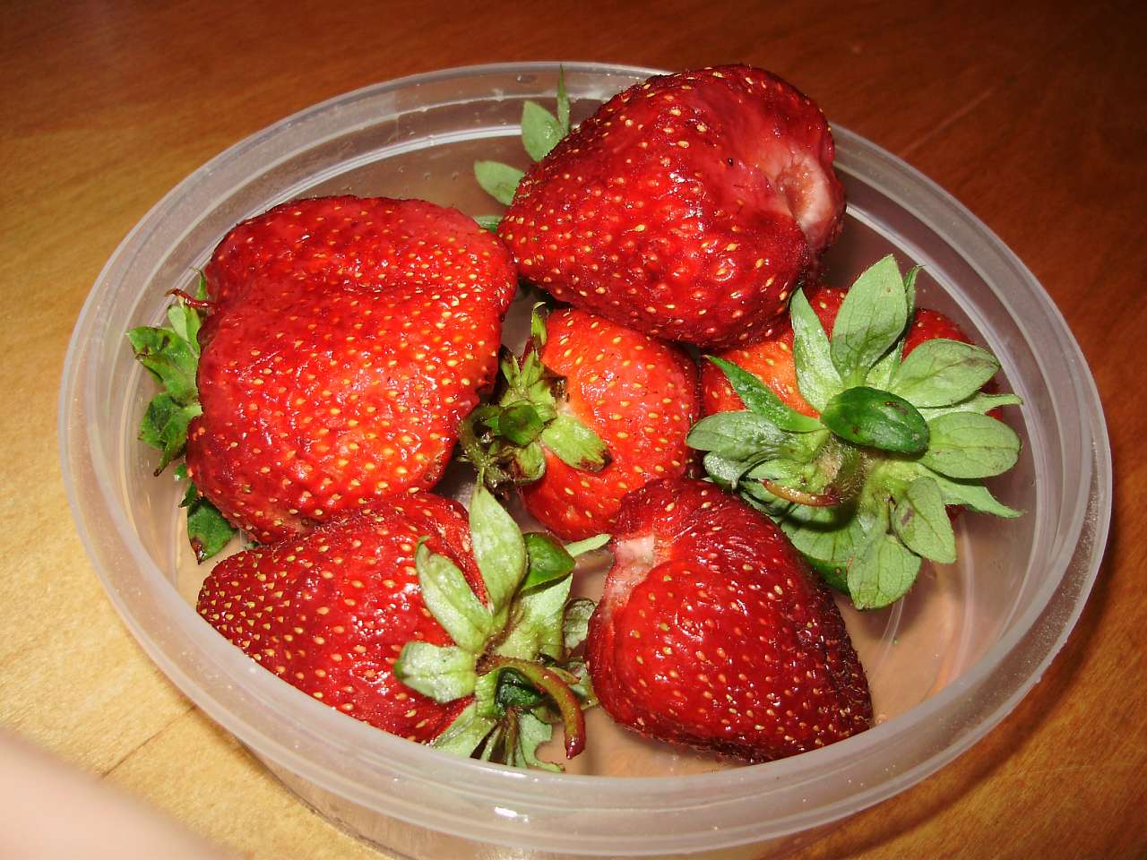 природа - Жадове