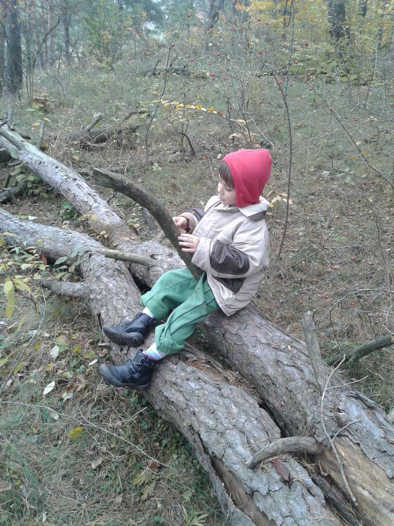 Вища Кропивна з panoramio.com - Высшая Кропивна