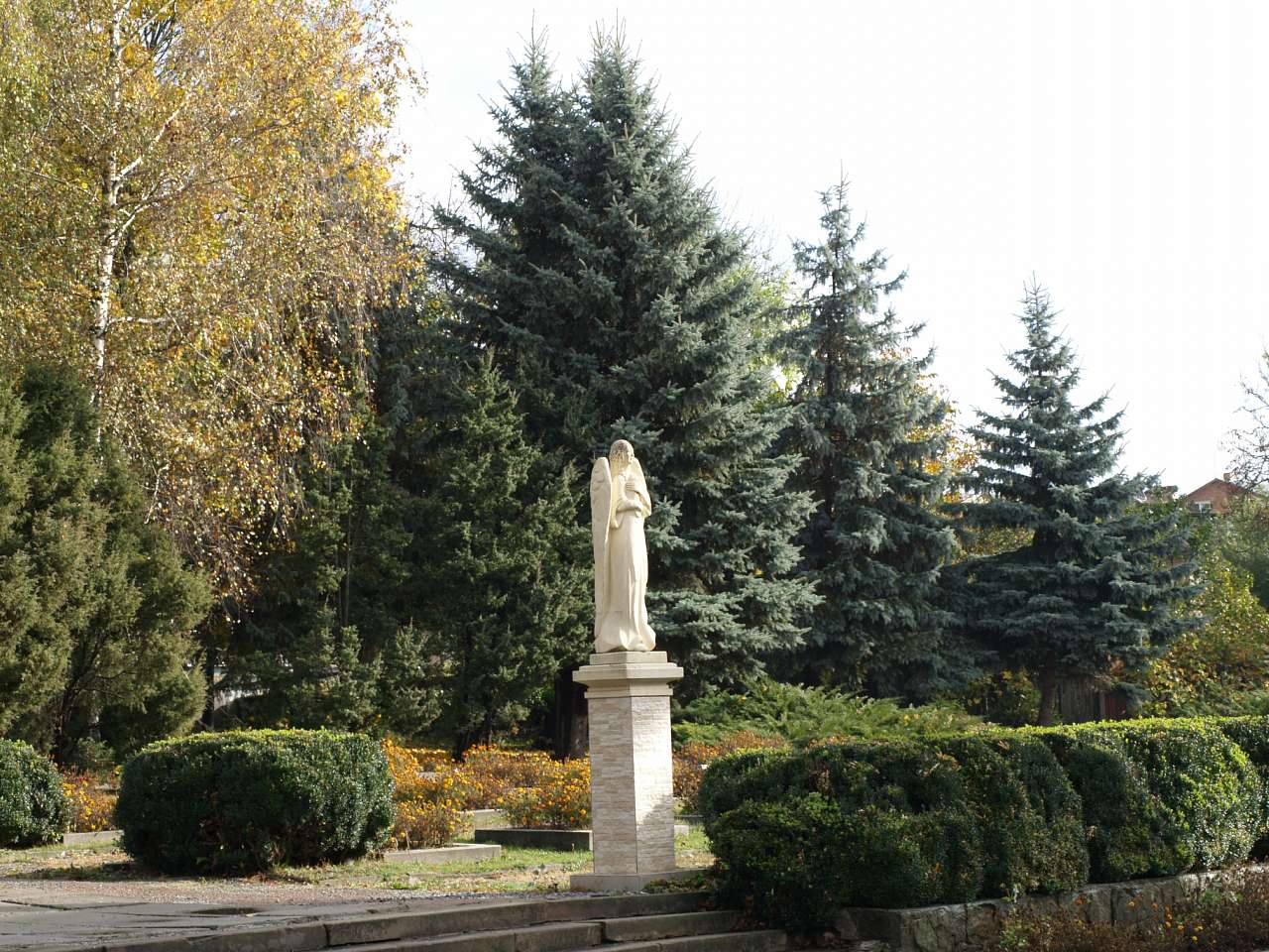 ВУЛИЦЯМИ ОСІННЬОГО БОРЩІВА  - Борщев