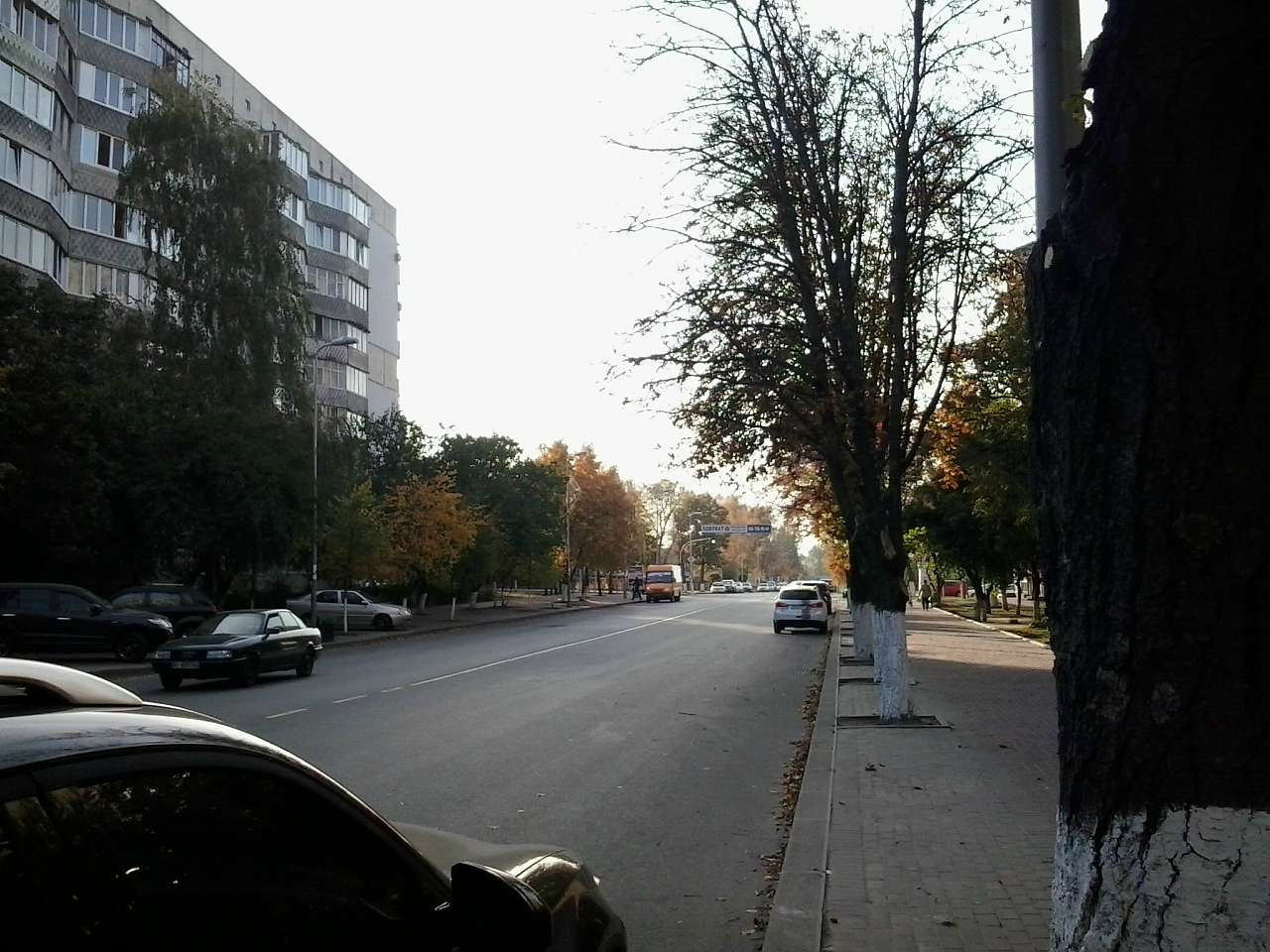 ГОЛОВНА ВУЛИЦЯ - Вишневое