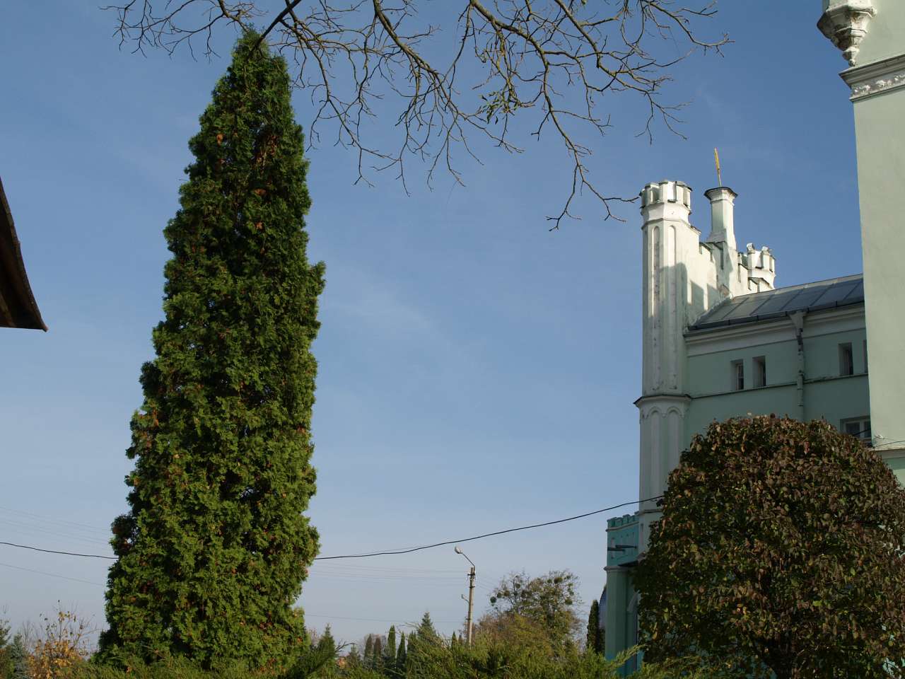 ПАЛАЦ  ВОРОНІНА - Білокриниця