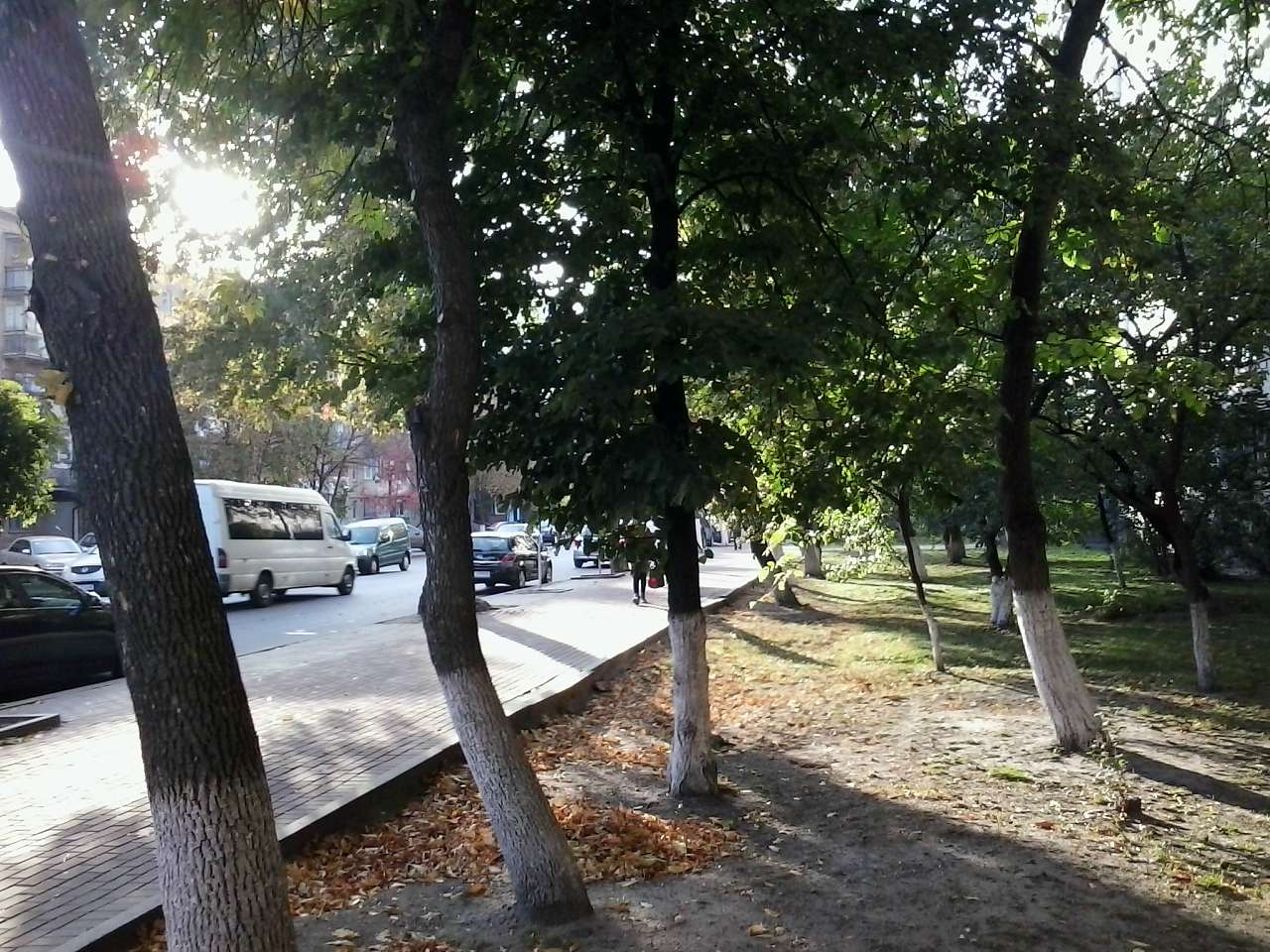 ГОЛОВНА ВУЛИЦЯ - Вишневое