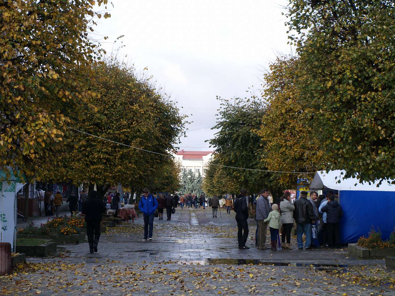 ВУЛИЦЯМИ ОСІННЬОГО БОРЩІВА  - Борщев