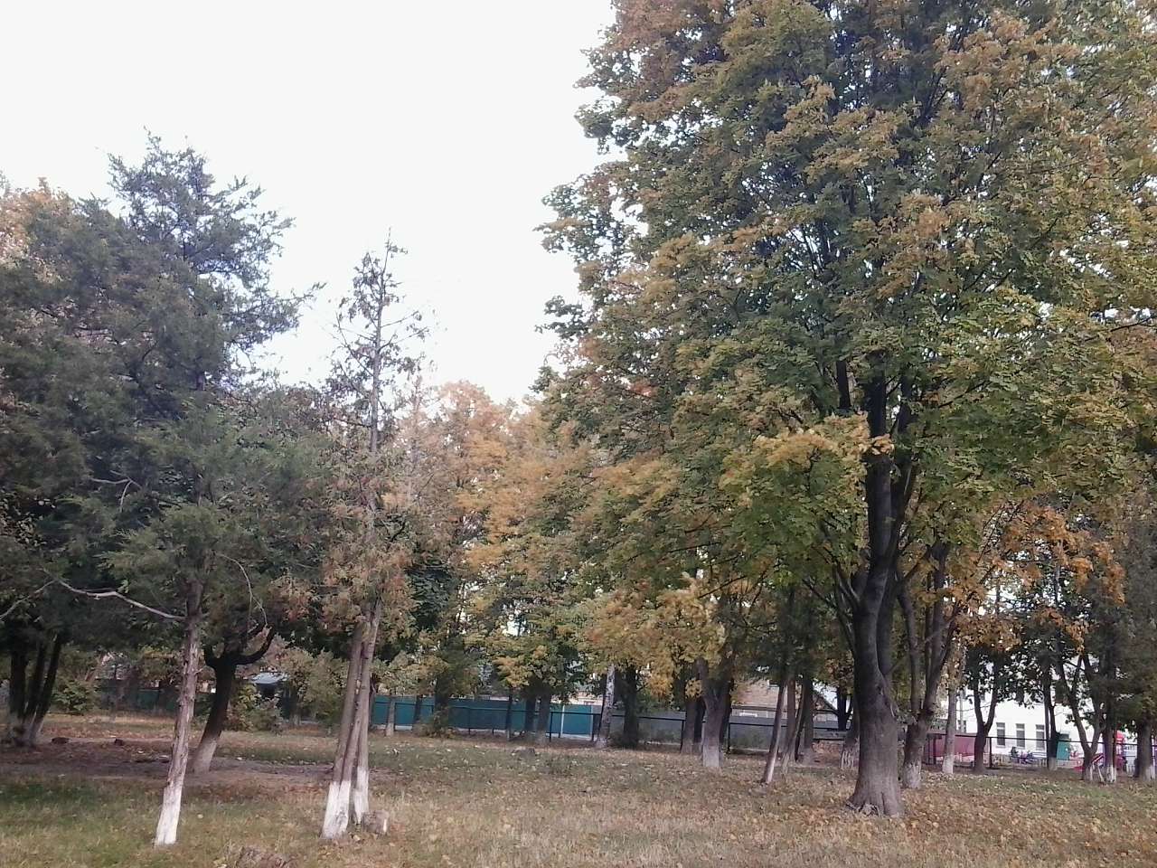 ОСЕРЕДКИ ЗНАНЬ ТА ДУХОВНОСТІ - Боярка
