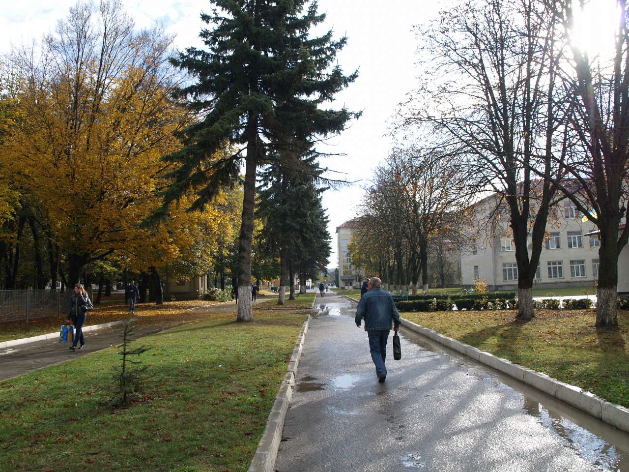 ВУЛИЦЯМИ ОСІННЬОГО БОРЩІВА  - Борщев