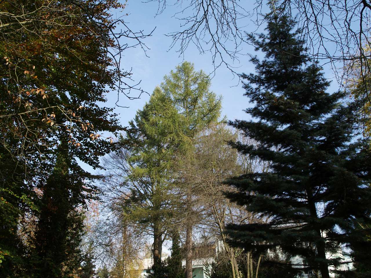 ПАЛАЦ  ВОРОНІНА