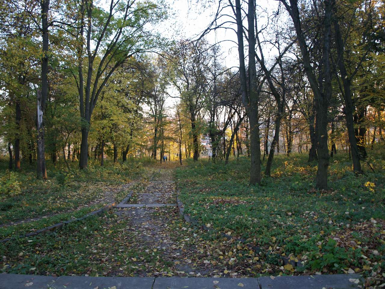 Палац - Микулинці