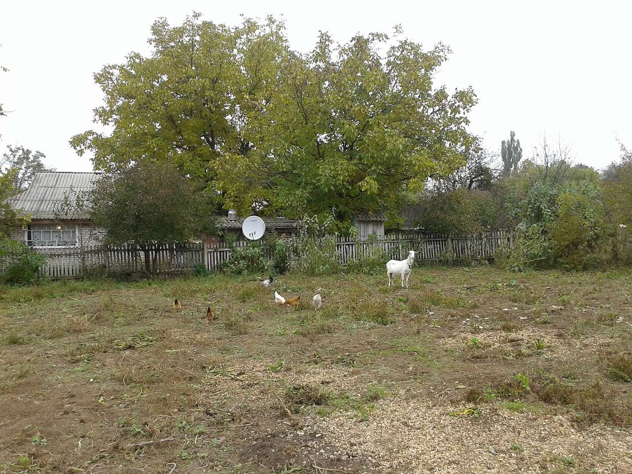 Вища Кропивна з panoramio.com - Высшая Кропивна