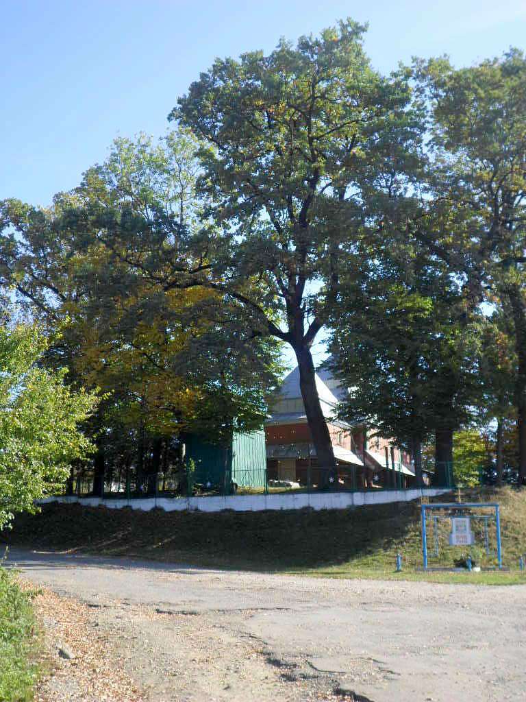 Церква Зіслання Св. Духа 1824 - Подгорцы