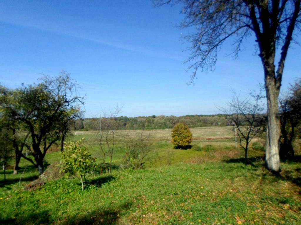 Краєвид - Йосиповичі