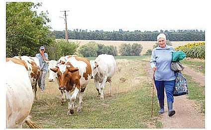 Життя  села - Глиняна Балка