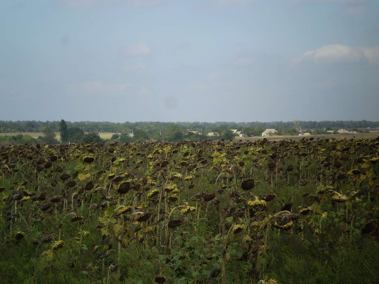 Моя родина с.Полковое