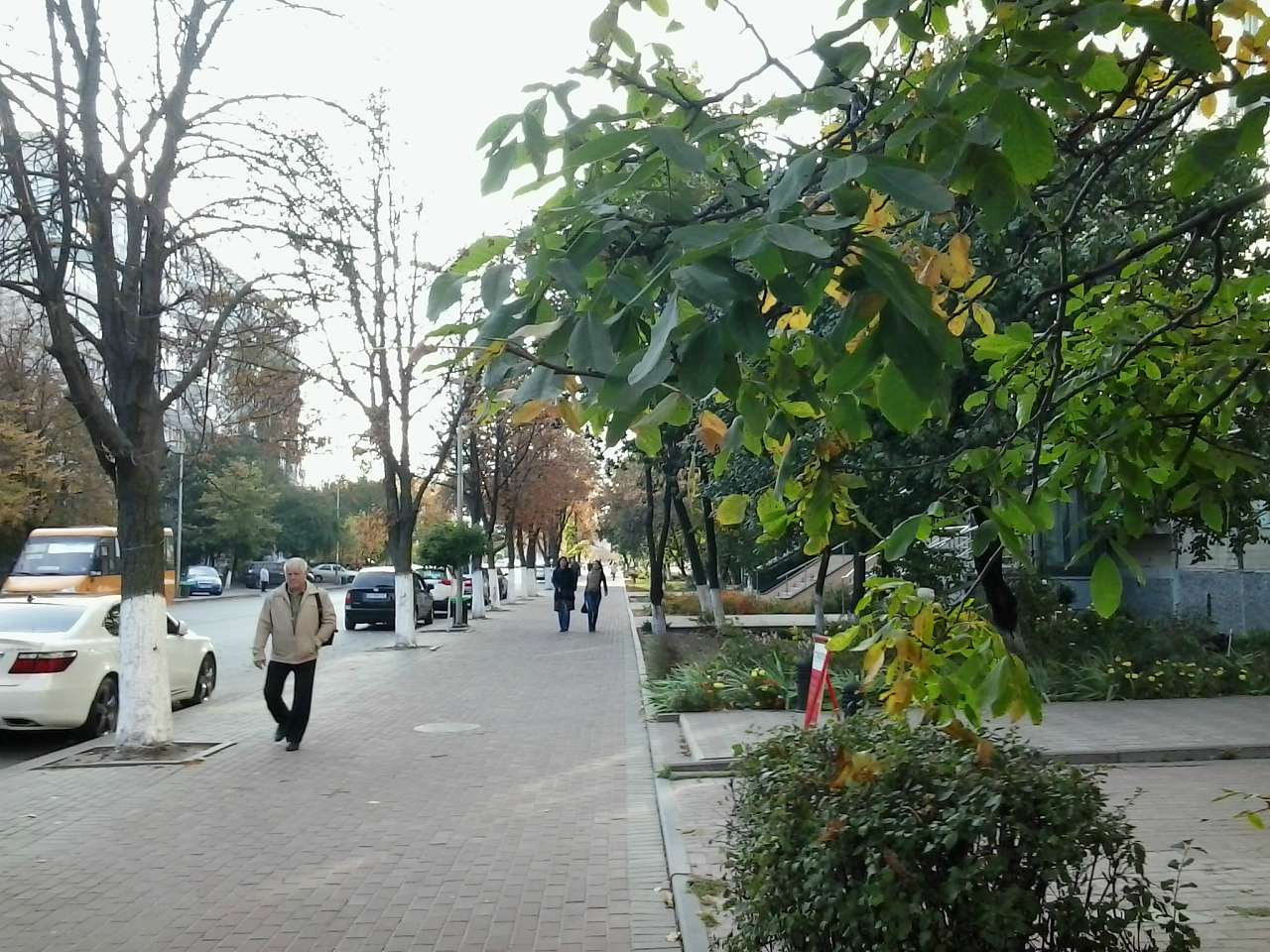 ГОЛОВНА ВУЛИЦЯ - Вишневое