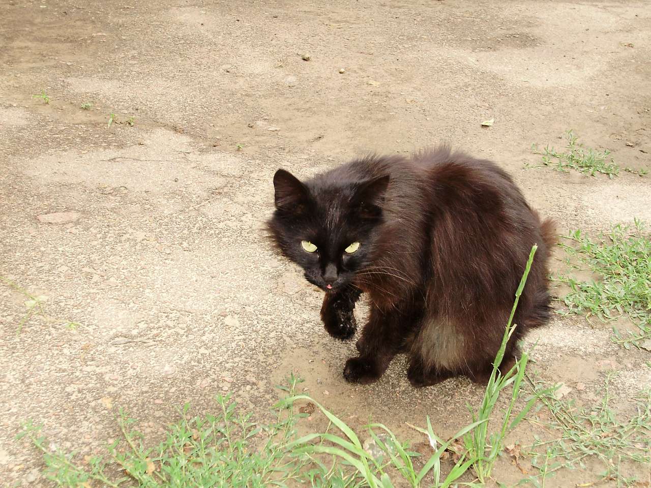 природа - Жадове