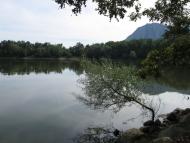 Виноградний з panoramio.com