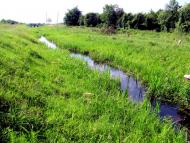 Чудля - Останні фото