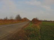 Буди - Останні фото