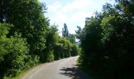 Терехове з panoramio.com