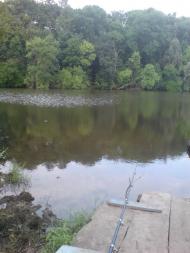 Южне - Останні фото