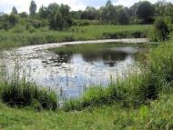 Шубків з panoramio.com